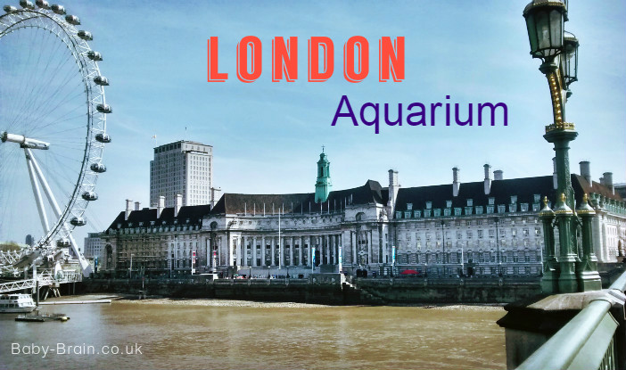 Baby Friendly London. The London Aquarium. Navigating London with babies and toddlers, fun activities, from Baby-Brain.co.uk