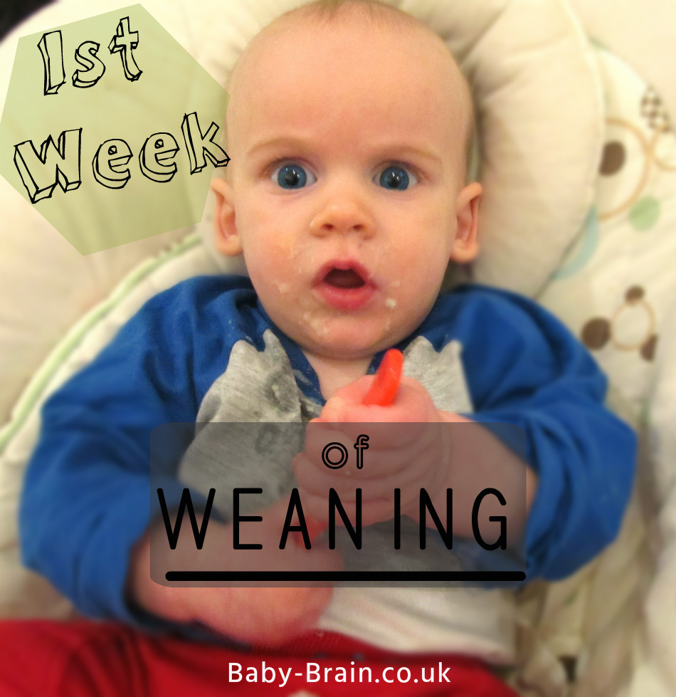 The first week of weaning: what we ate and why. Baby-Brain.co.uk. Pschology, babies, motherhood